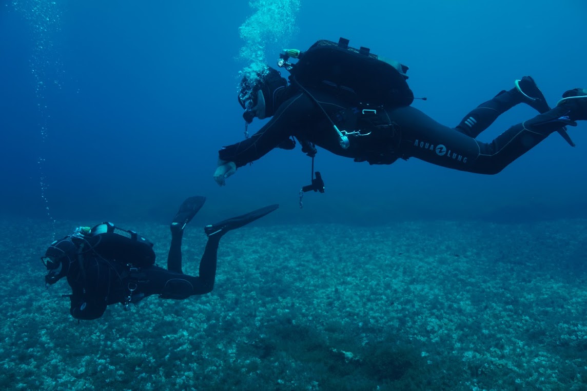 Aus Und Weiterbildung Im Tauchen Auf Gozo Nautic Team Gozo Aus Und Weiterbildung Im Tauchen Auf Gozo Nautic Team Gozo
