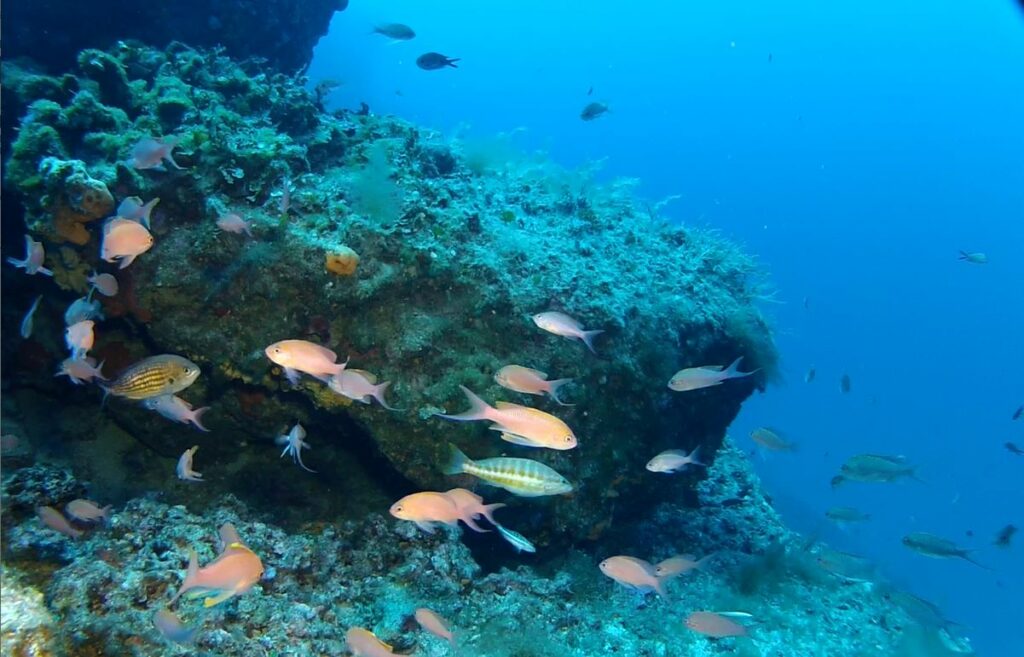 Ras il-Hobz / Middlefinger